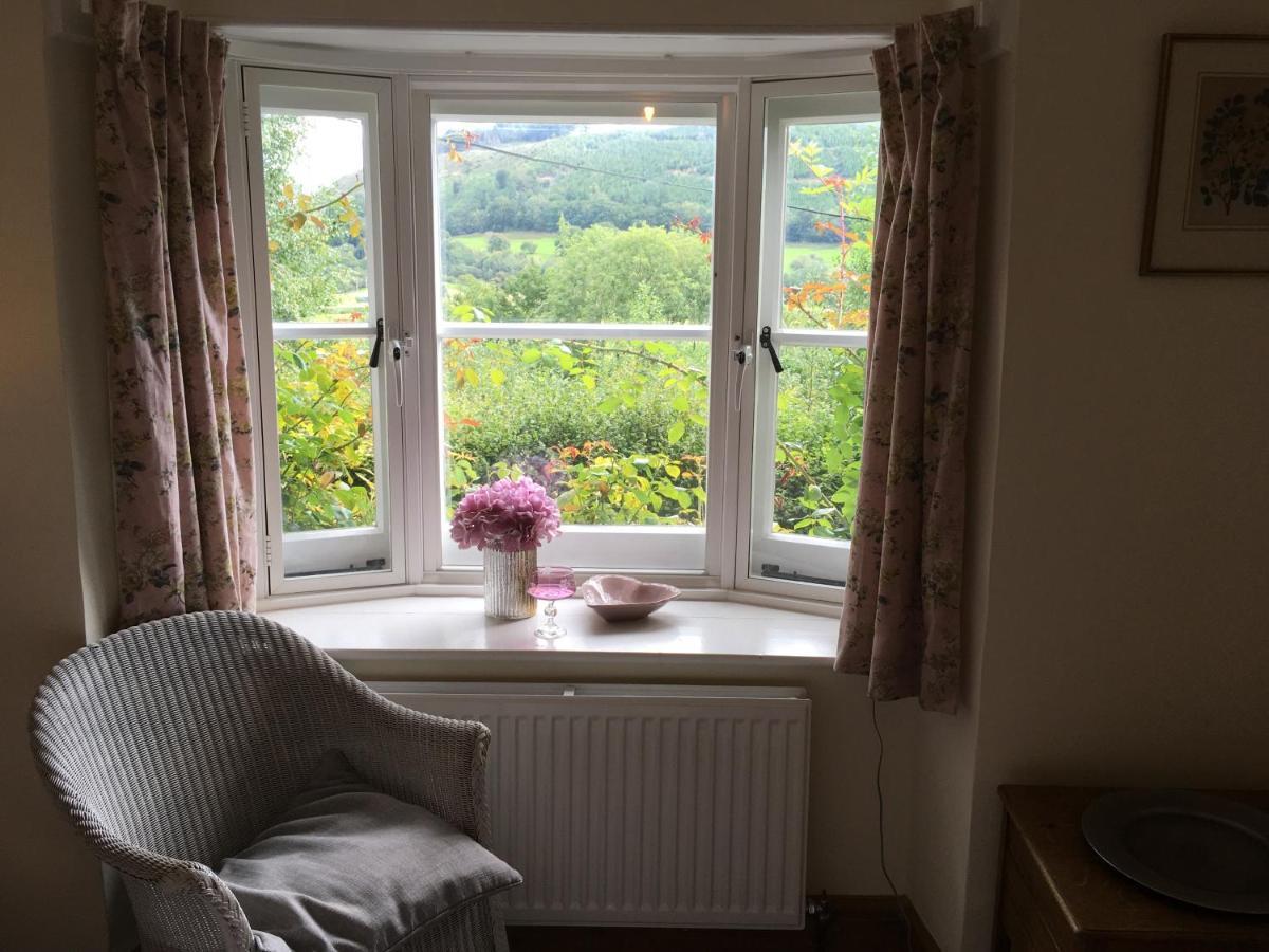 200 Year Old Gardener'S Cottage, Mid Wales لانيدلوز المظهر الخارجي الصورة